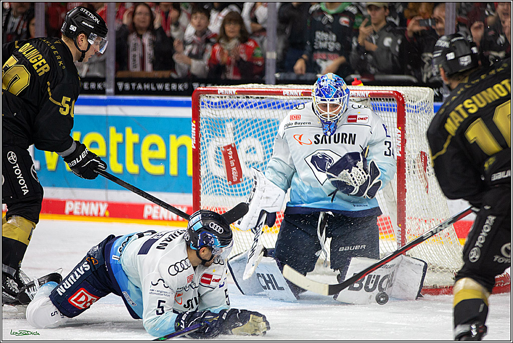 PENNY DEL;  Kölner Haie - ERC Ingolstadt; Köln, 25.11.2022